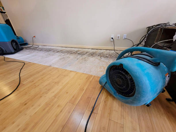 Professional Basement Flood Cleanup technician working in Grantsburg, WI